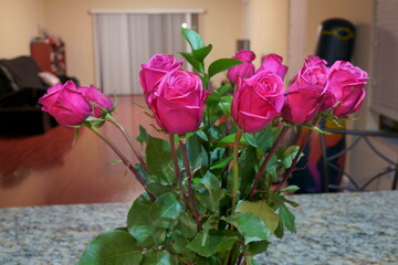 Beautiful special pink rose flower and green leaf	