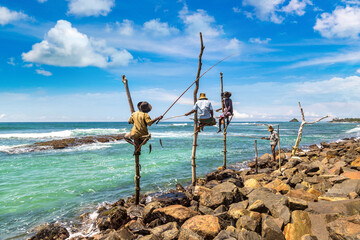 Local Fisherman fishing in Sri Lanka