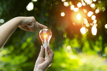 light bulb against nature, icons