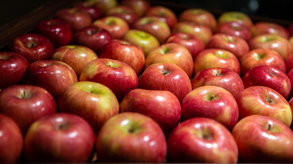 Fresh red apples on market counter. Apples on cardboard box on the grocery shelf