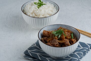 Set of gyudon : japanese food with beef and rice