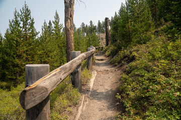 Fototapeta na wymiar Dirt hiking trail and bridge to Wraith Falls in Yellowstone National Park