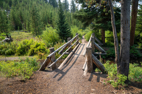 Dirt hiking trail and bridge to Wraith Falls in Yellowstone National Park