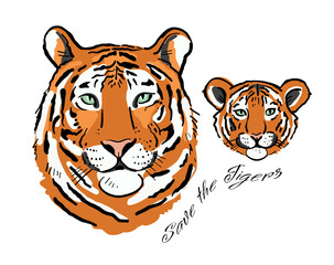 Tigress with cub. Tigers family for your design. Save the Tigers.