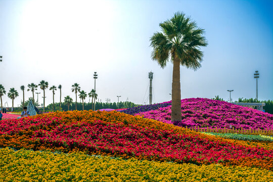 Flower carpet