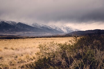 Cold, dry grasslands by the snowy Andes mountains, in Tupungato, Mendoza, Argentina, in a dark cloudy day.