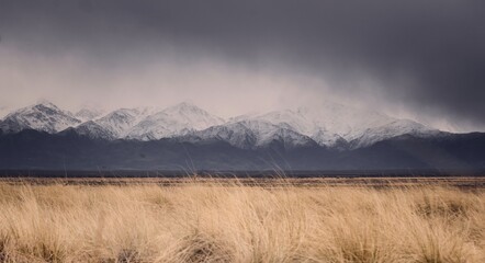 Cold, dry grasslands by the snowy Andes mountains, in Tupungato, Mendoza, Argentina, in a dark cloudy day.