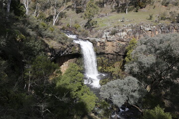 Obraz premium waterfall in the forest