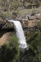 waterfall in the forest