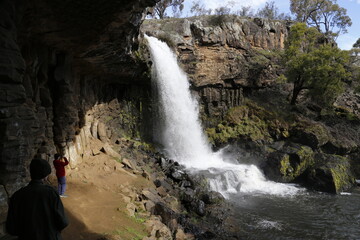 waterfall in park