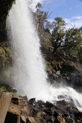 waterfall in the forest