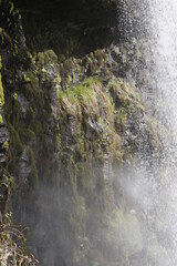 waterfall in the forest