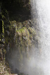 waterfall in the forest