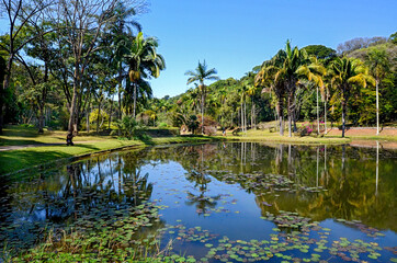 Lago das Ninféias, Jardim Botânico, Sao Paulo.