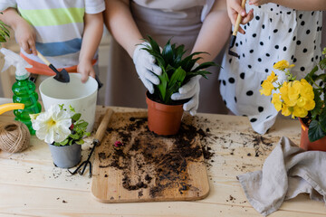 mother with her son and daughter in fasting plant or transplant indoor flowers. Little helper by...