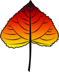 poplar leaf vector colour autumn