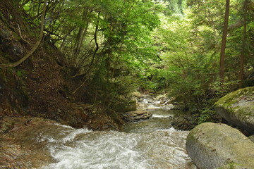 Obraz premium 田舎のせせらぎ