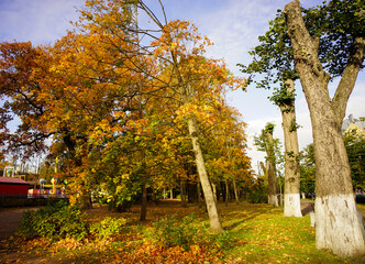 Autumn park in Vyborg, Russia
