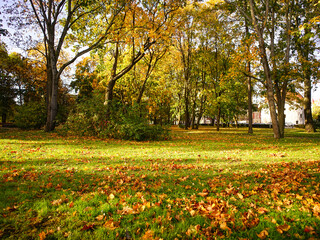 Autumn park in Vyborg, Russia