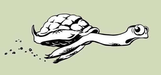 Something funky turtle scoots away from my problems.