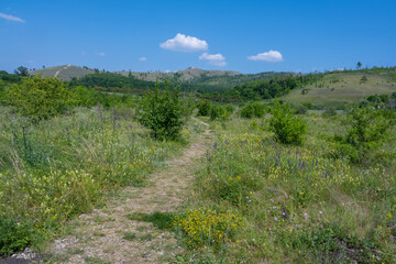 Coast of the Volga River near the town of Zhigulevsk. Zhiguli mountains. Samarskaya Luka.