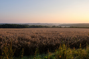 Fototapeta na wymiar Sunset in the Czech landscape