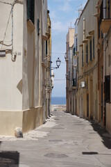 Fototapeta na wymiar alley overlooking the sea