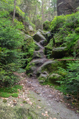 Błędne skały - Skalny labirynt w Kotlinie kłodzkiej