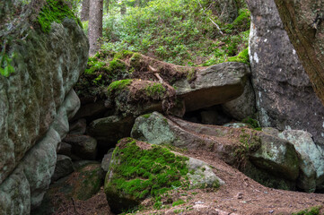 Błędne skały - Skalny labirynt w Kotlinie kłodzkiej - obrazy, fototapety, plakaty