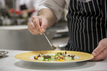 Chef in restaurant garnishing vegetable dish. Chef preparing meal in kitchen. Decorating dish, close up.