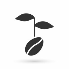 Grey Coffee beans icon isolated on white background. Vector