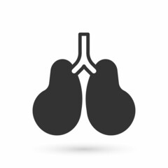 Grey Lungs icon isolated on white background. Vector