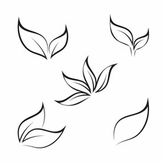 Fototapeta na wymiar Leaf icon Vector Illustration design Logo template