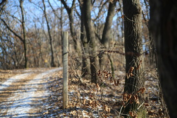 winter snow mountain