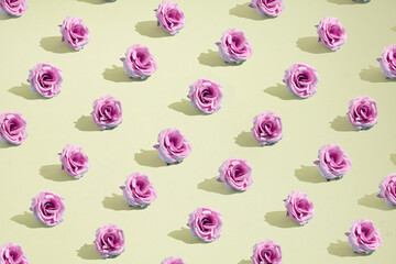 Creative Autumn pattern concept of fresh pink roses. Flowers on pastel yellow background.