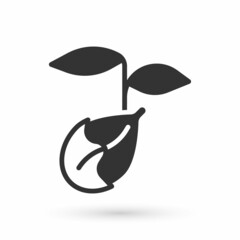 Grey Sprout icon isolated on white background. Seed and seedling. Leaves sign. Leaf nature. Vector