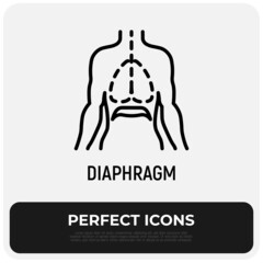 Diaphragm thin line icon. Respiratory system of human. Modern vector illustration.