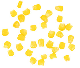 Sweet yellow corn seeds isolated on white background. Raw fresh corn texture close up. macro
