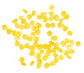 Sweet yellow corn seeds isolated on white background. Raw fresh corn texture close up. macro