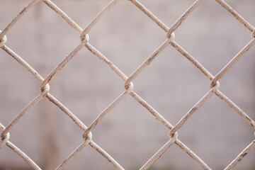 Fototapeta premium Wire Mesh Fence