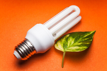  Light  bulb for the Green world