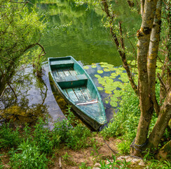 altes, grünes Ruderboot in einem Biotop auf dem Le Doubs nahe Besancon, Frankreich 