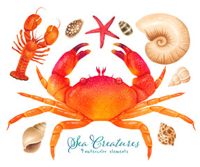 Set of Sea creature watercolor hand painted