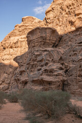 beautiful red relief mountain, the top of the mountain is illuminated by the sun, green bushes grow at the foot of the mountain, Wadi Rum, Jordan