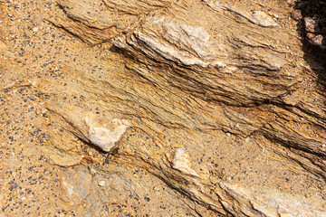 Light brown rocky background. Close up