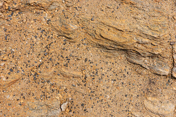 Light brown rocky background. Close up