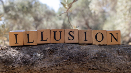 The word illusion was created from wooden blocks. Sociology and life.