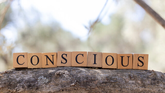 The word conscious was created from wooden blocks. Sociology and life.