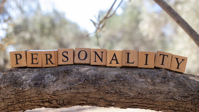 The word Personality was created from wooden blocks. Sociology and life.