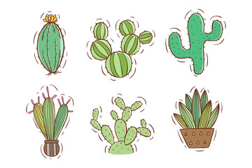 doodle style of cactus pot collection